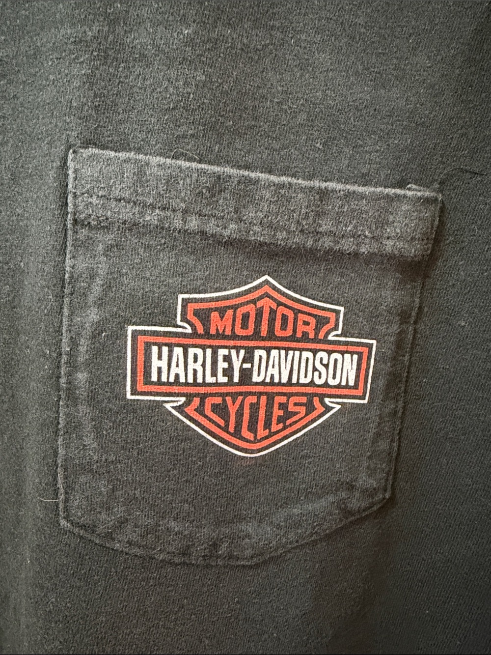 Harley-Davidson Colorado Springs Short-Sleeve Tee with Multicolor Pikes Peak - Picture 4 of 5